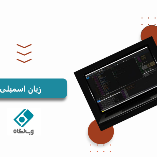 زبان اسمبلی